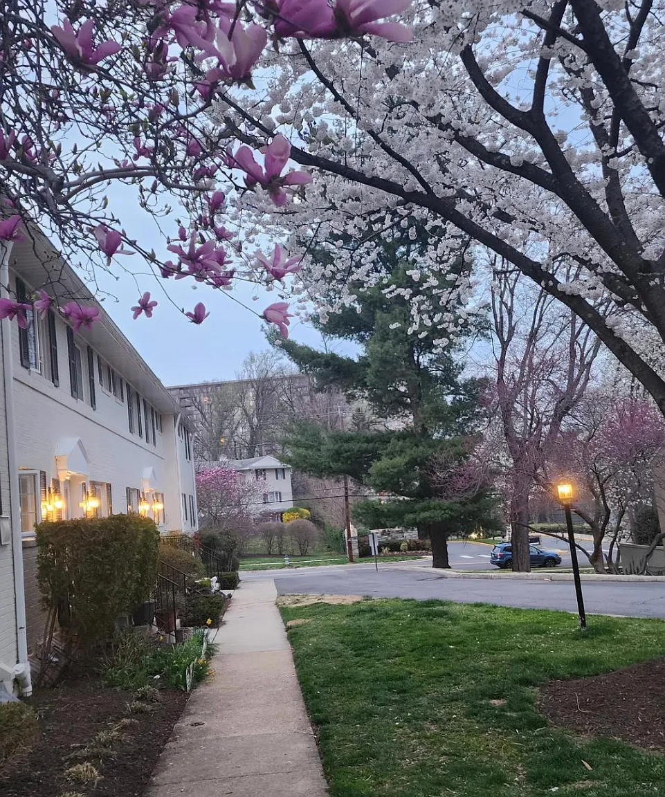 2 bed, 1100 sqft, $2,750 — Photo 1