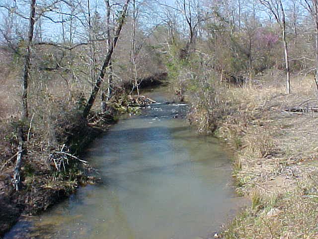 1st image of Ponderosa Trail