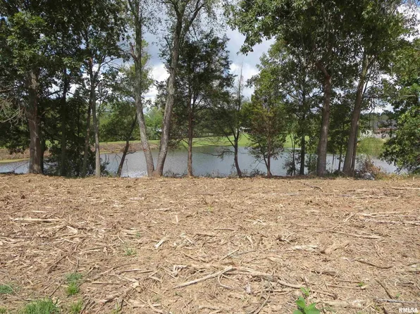 1516 Squires Point Rd, Pittsburg, IL 62974