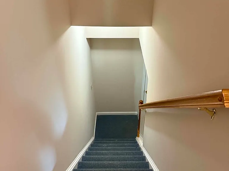 Downstairs Steps