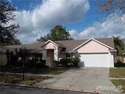 9204 Sunflower Dr, Tampa, FL, 33647