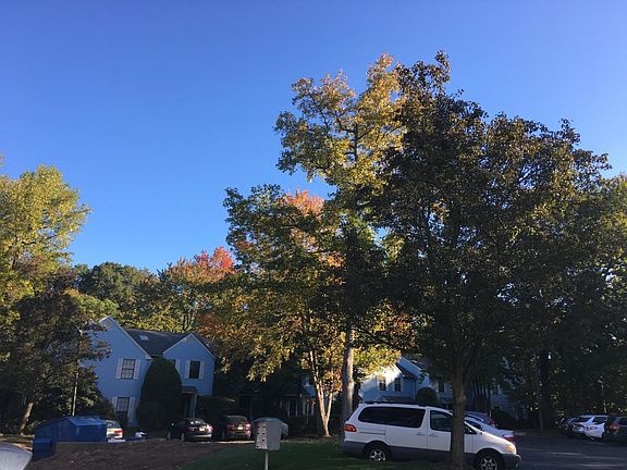 community neighborhood