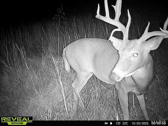 2nd image of 0 Sand Creek Bottom Rd