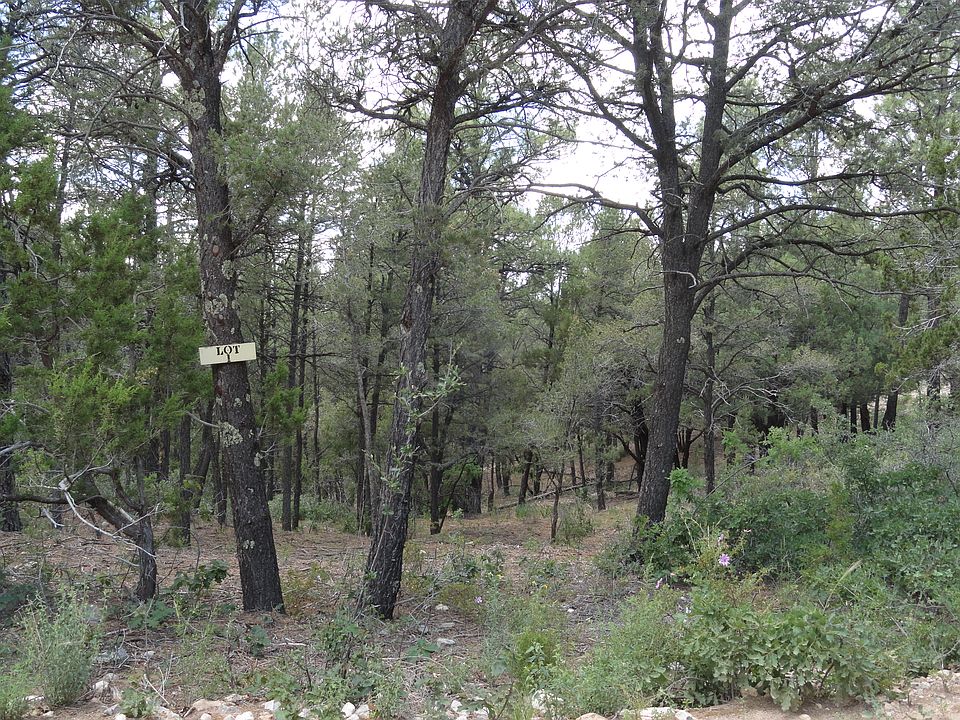 1st image of Camino Alto #1