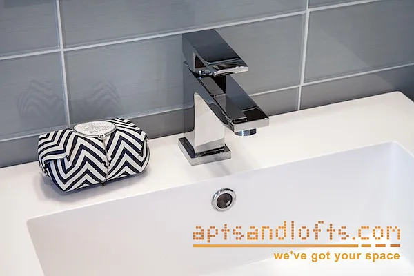 Rented by aptsandlofts.com | media 19