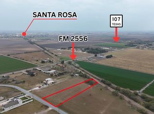 10894 Roberto Longoria Dr, Santa Rosa, TX 78593