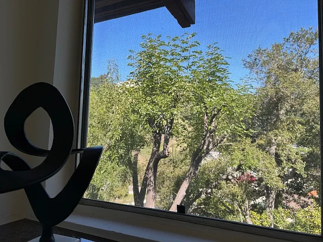 Peaceful canyon views from every window.