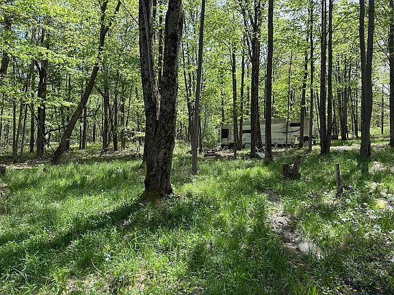 2nd image of 16 Deer Pond Acres