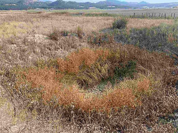 4th image of 2447 Highway 395 Hwy S