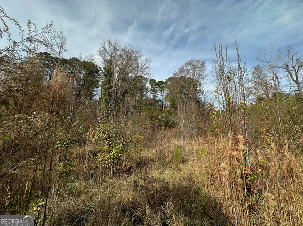 567 George W Towns Rd, Talbotton, GA 31827