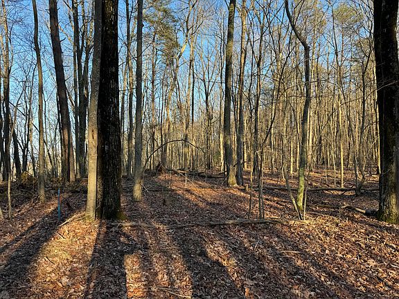 5th image of 0 Shivas Crest Crst #70B