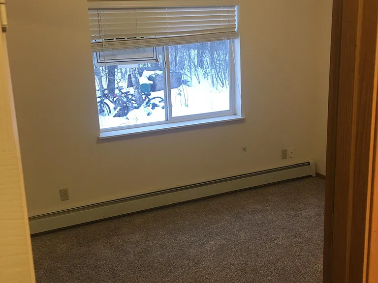 161 E Susitna Ave #3 — Photo 17