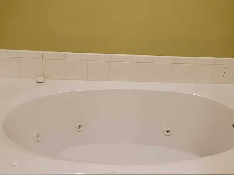 Master Bath Jetted Tub