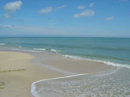 Private Beach View