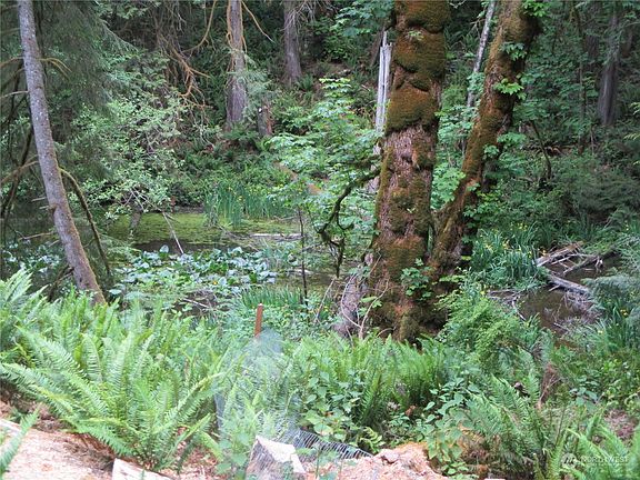 4th image of 0 E Blue Heron Acreage