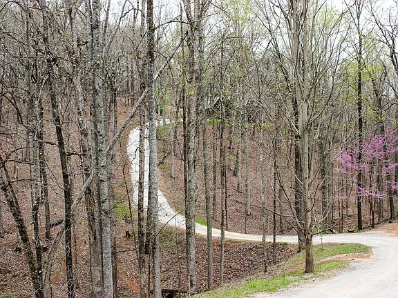 Winding driveway to home