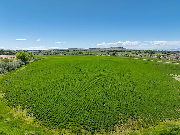 2nd image of 17 Morgan Rd