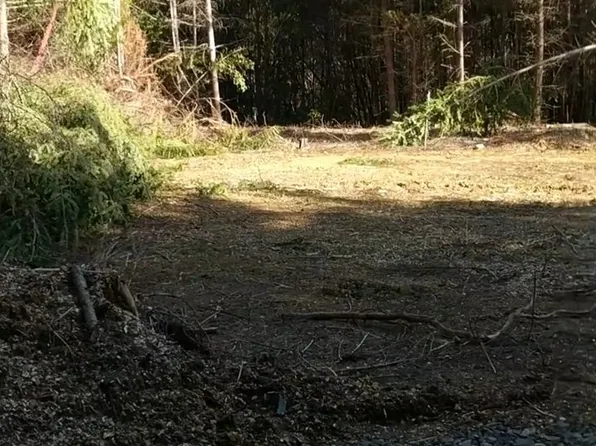 0 Cedar Valley Rd, Gold Beach, OR 97444