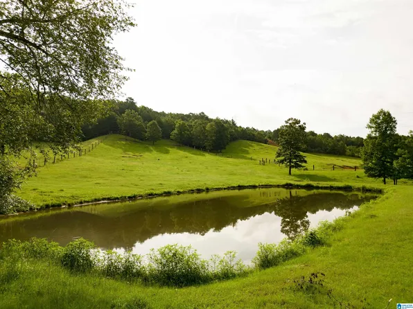 5101 Reeder Rd, Dora, AL 35062