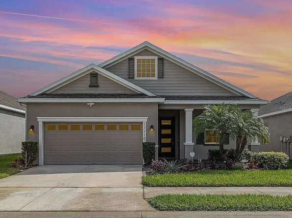 11110 Swansea St, Riverview, FL 33578