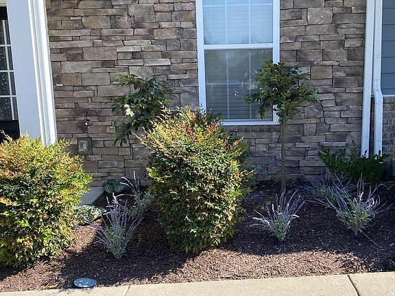 NEW LANDSCAPING