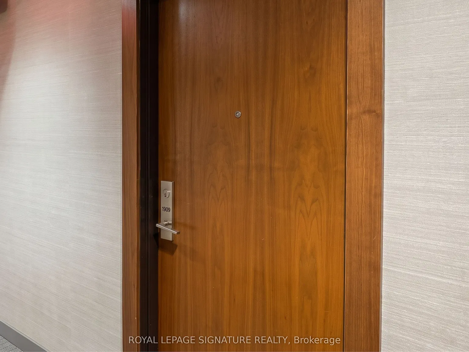 Studio, $1,995 — Photo 3