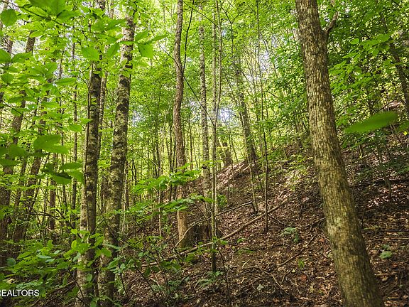 3rd image of Watson Hollow Rd