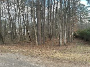 Pinedale Rd LOT 32, Terry, MS 39170
