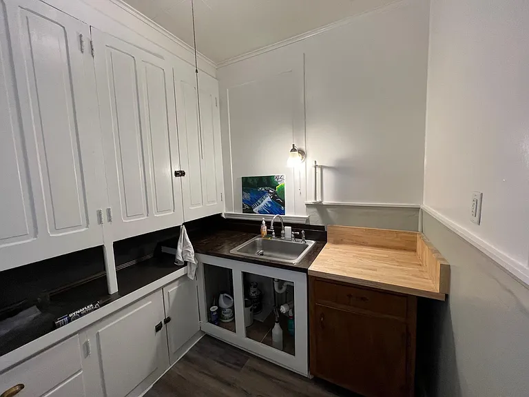extra sink in pantry