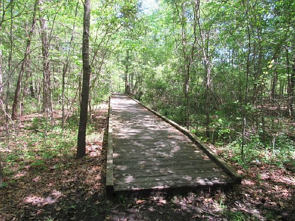 CP Nature Trails