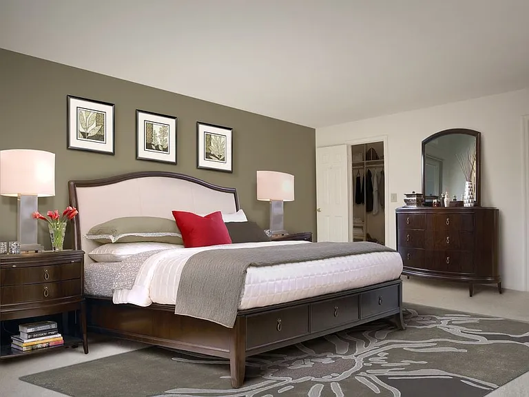 Carpeted bedroom with accent wall and walk-in closet