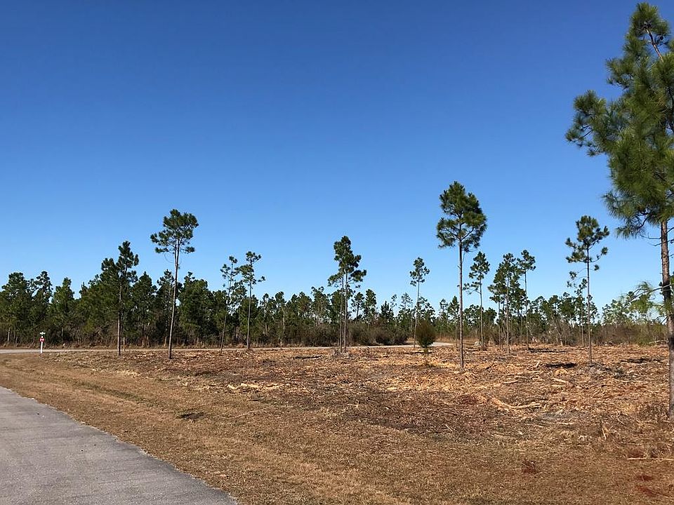 1st image of 133 Torrey Pine Trl