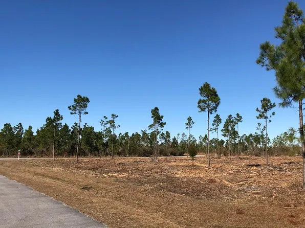 133 Torrey Pine Trl, Wewahitchka, FL 32465