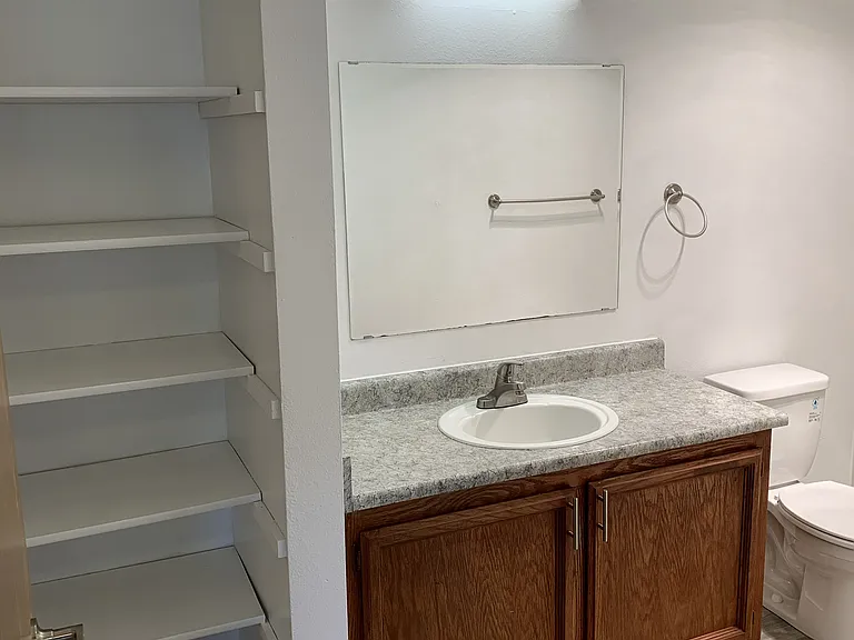 Spacious master bathroom featuring a large vanity with ample counter space, warm wood cabinetry, and bright lighting. Includes additional built-in shelving for extra storage and a clean, functional layout.