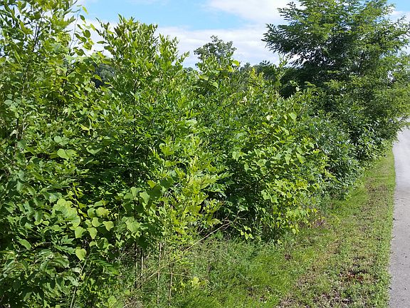 5th image of Lot 43 Stone Bridge Dr.