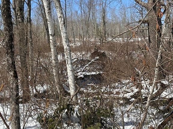 2nd image of 0 Northern Shores Way