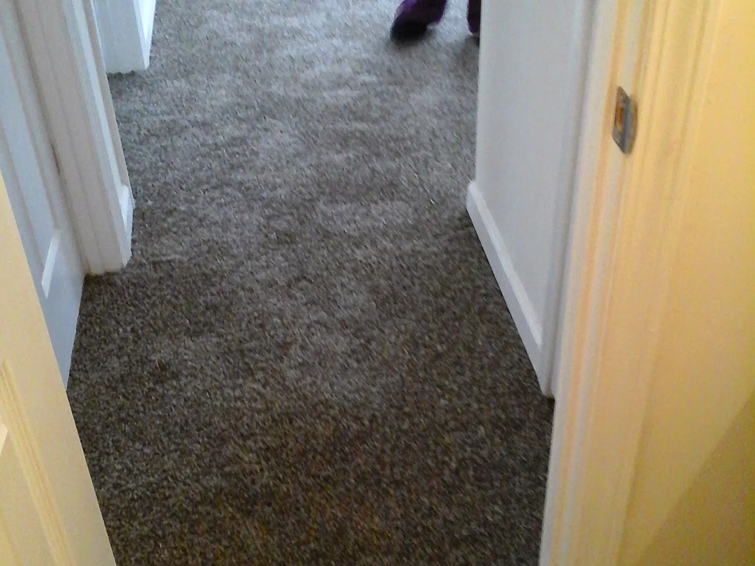 3 bed, 1100 sqft, $1,600 — Photo 4