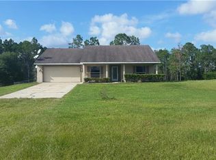 400 Black Lake Rd, Osteen, FL 32764