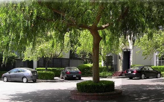 2nd image of 343 Bean Ave APT 3
