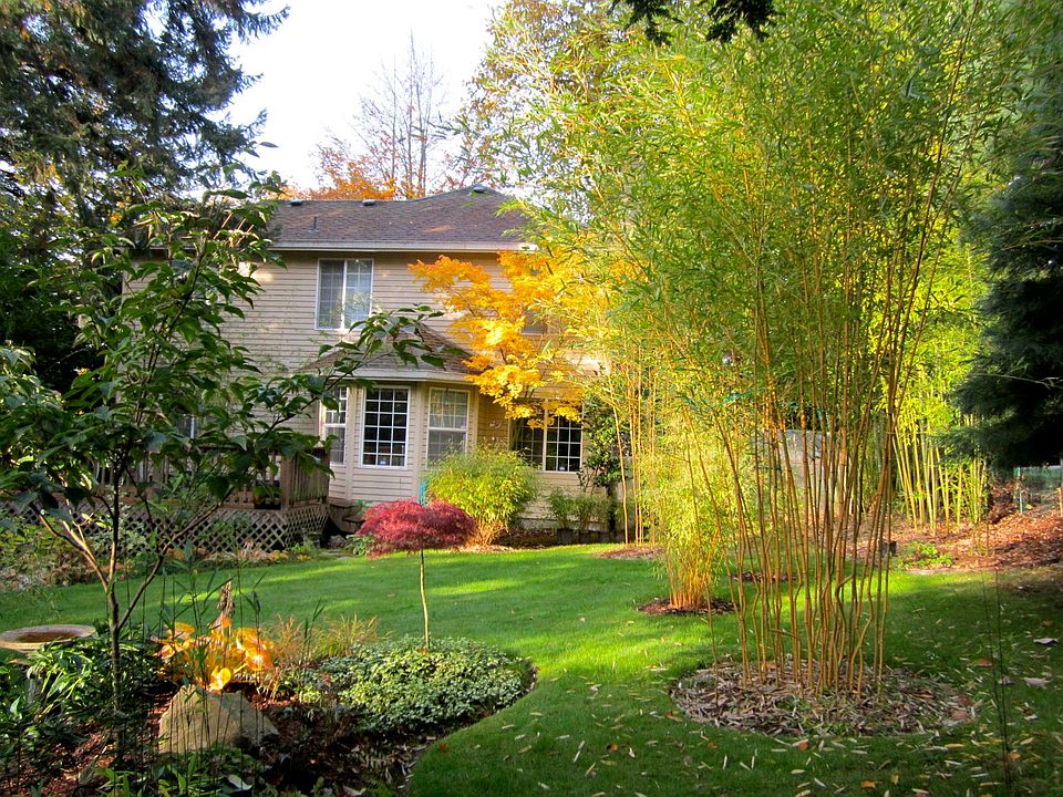 Huge backyard garden