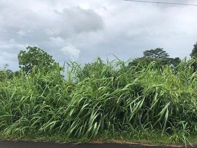 17-4080 Kuaaina Rd #29, Kurtistown, HI, 96760