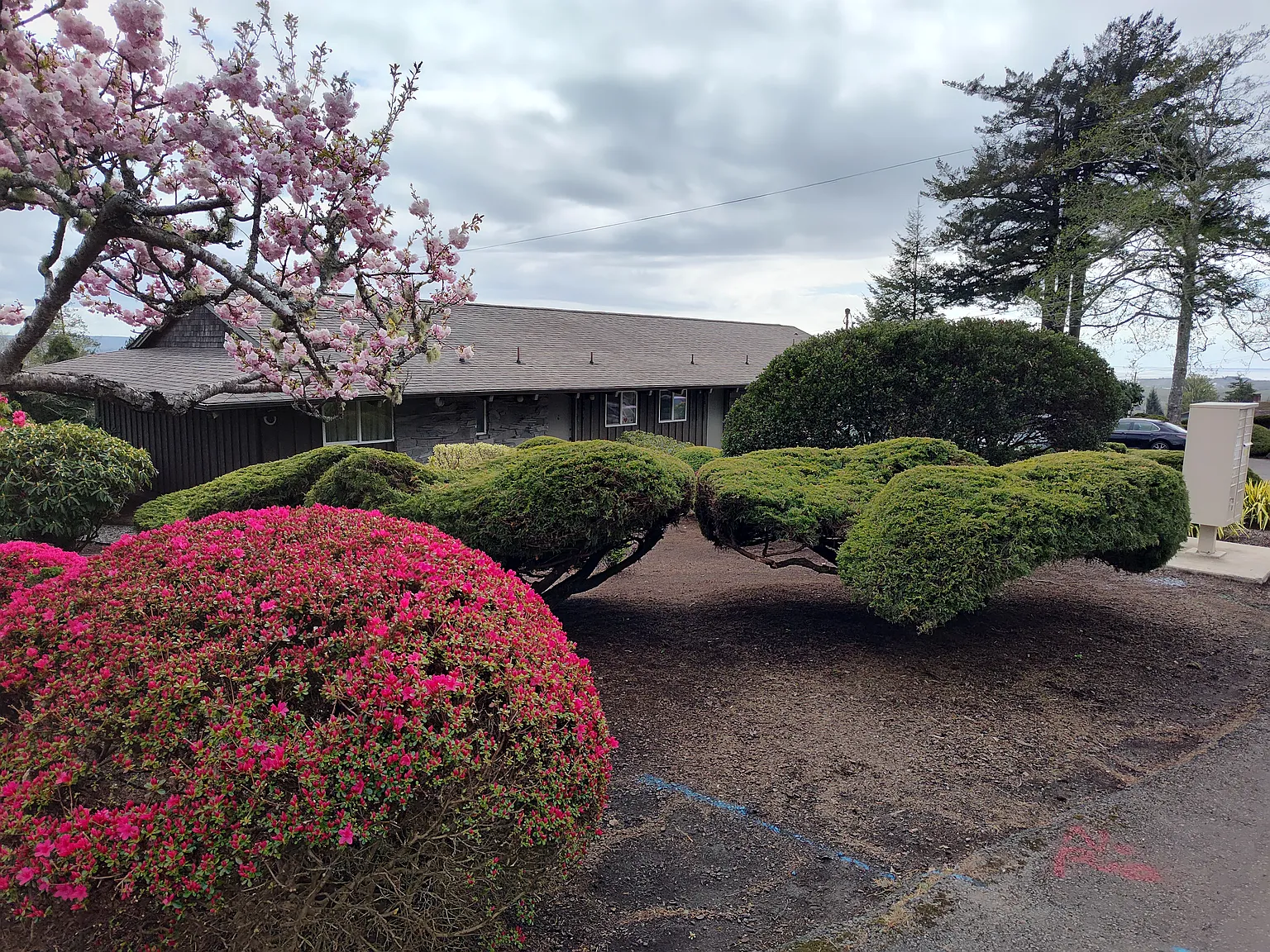 2 bed, 900 sqft, $1,550 — Photo 3