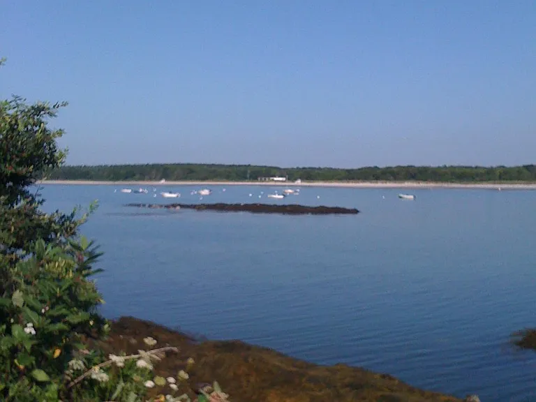 3 Seal Cove Ln #1 — Photo 13