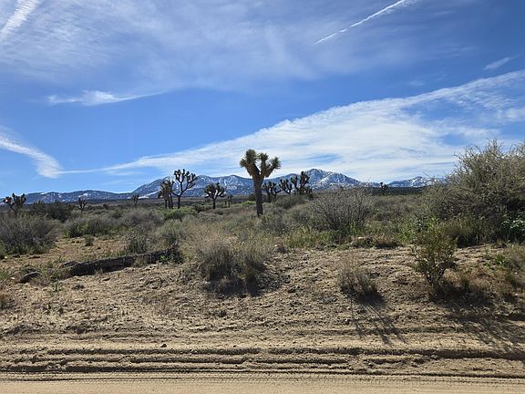 5th image of Fort Tejon Rd