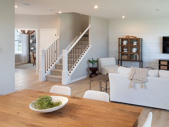 Model Representation