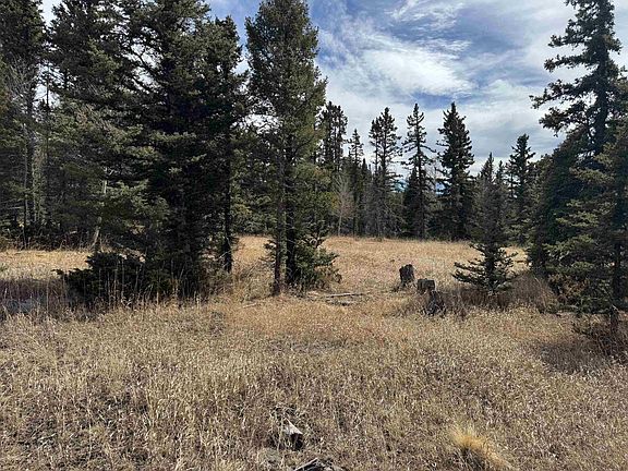 5th image of Lot 83 Elk Meadow
