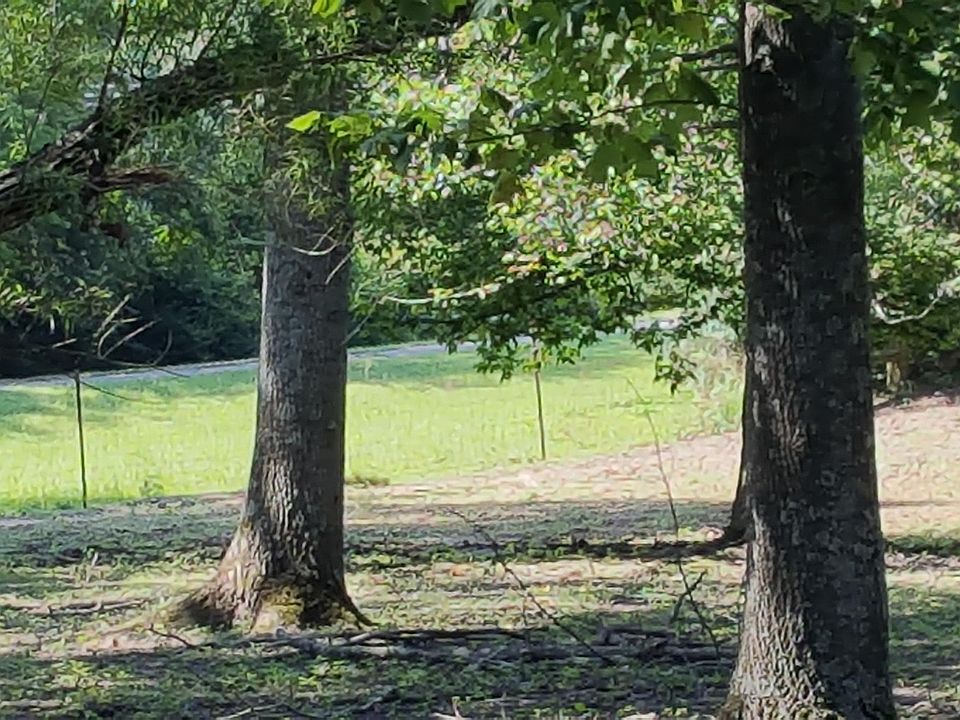 2nd image of 4895 Murfreesboro Rd