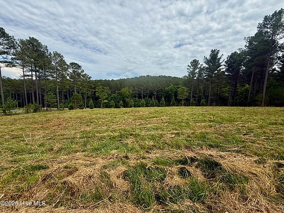 4th image of 115 Stables Loop Lot 154