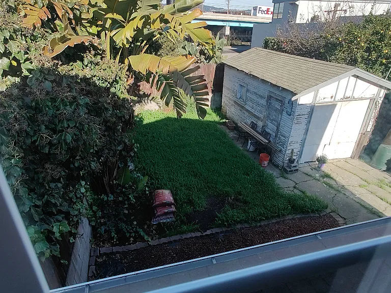 backyard from 2nd bedroom window