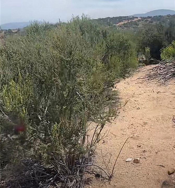 2nd image of 1 McConneny Rd